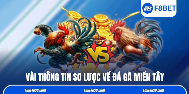 Những thông tin sơ lược về hình thức đá gà miền Tây