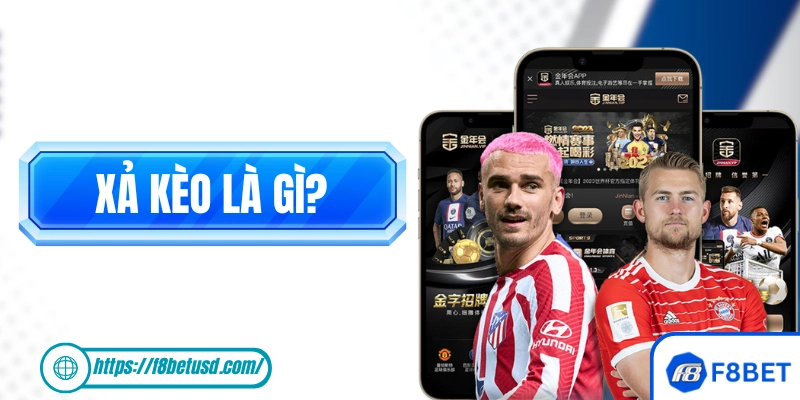 Xả Kèo Là Gì? Định Nghĩa Và Hướng Dẫn Các Bước Cash Out